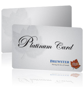 PVC Card Plastic Card Membership Card Loyalty Card Discount Card ID Card Priority Card Access Card Printing Manufacturer Malaysia Awesome Silver Metallic Plastic Card Design
